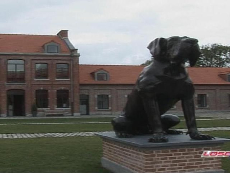Ce Dogue a du chien !