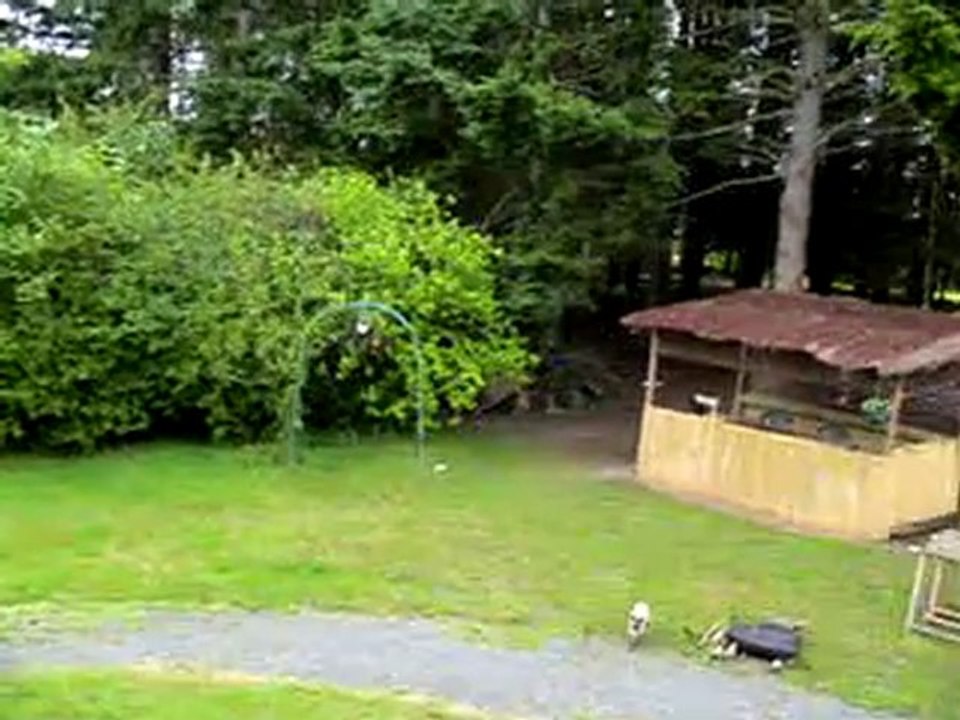 CHOUQUETTE LA CORNEILLE