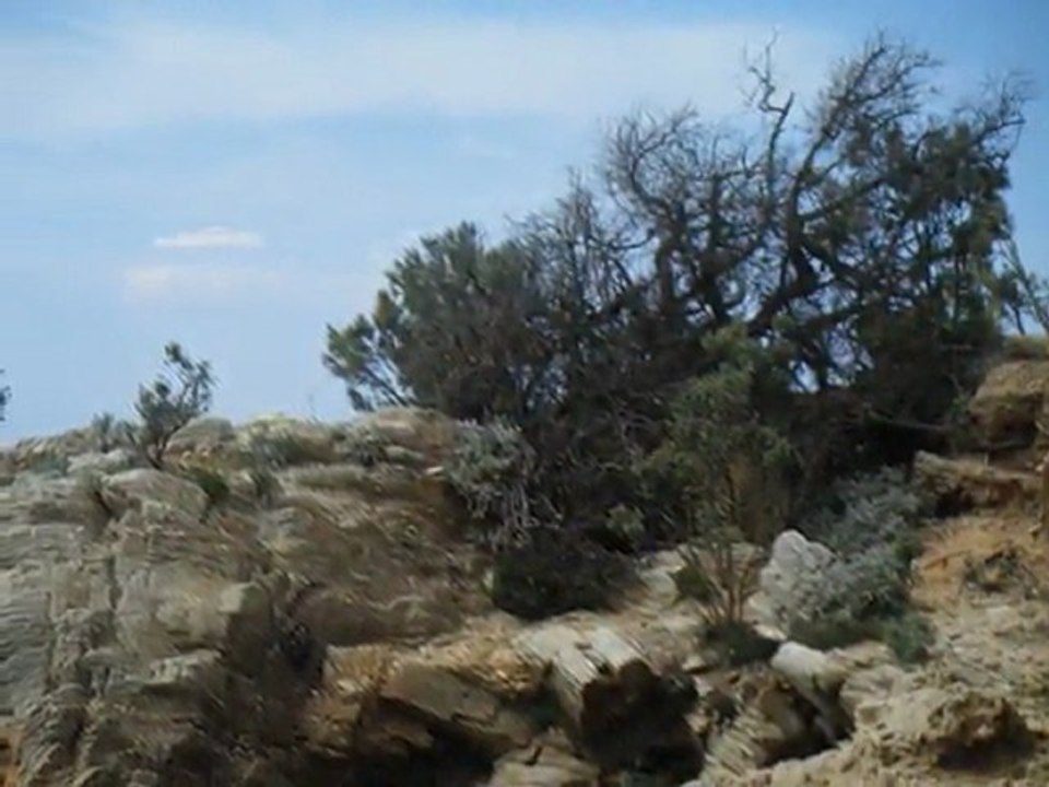 la côte varoise