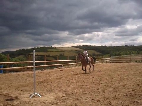 Entrainement CSO 1m30