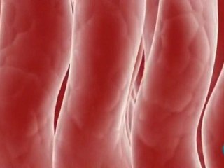 Celulas madre: Curiosidades cientficas