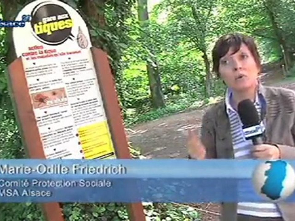 Alerte aux tiques! (Alsace)