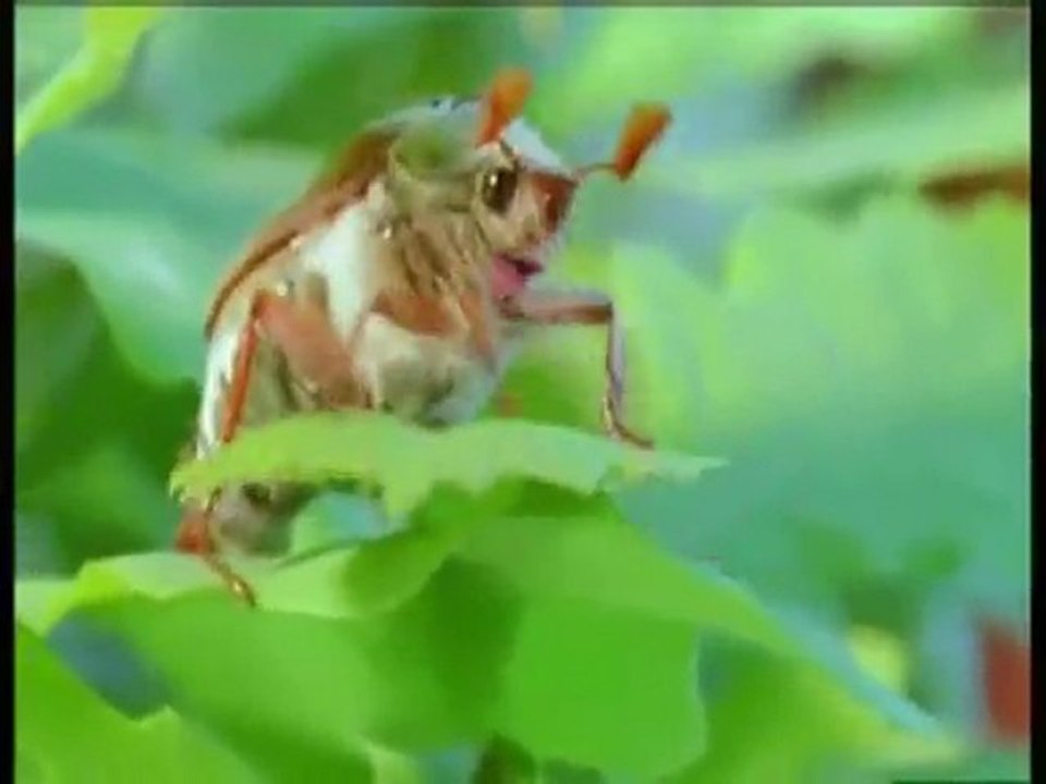 Une chorale particulière