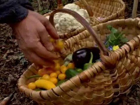 Bande annonce La révolution des sols vivants