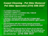 Plano carpet cleaning pet odor removal water extraction alle