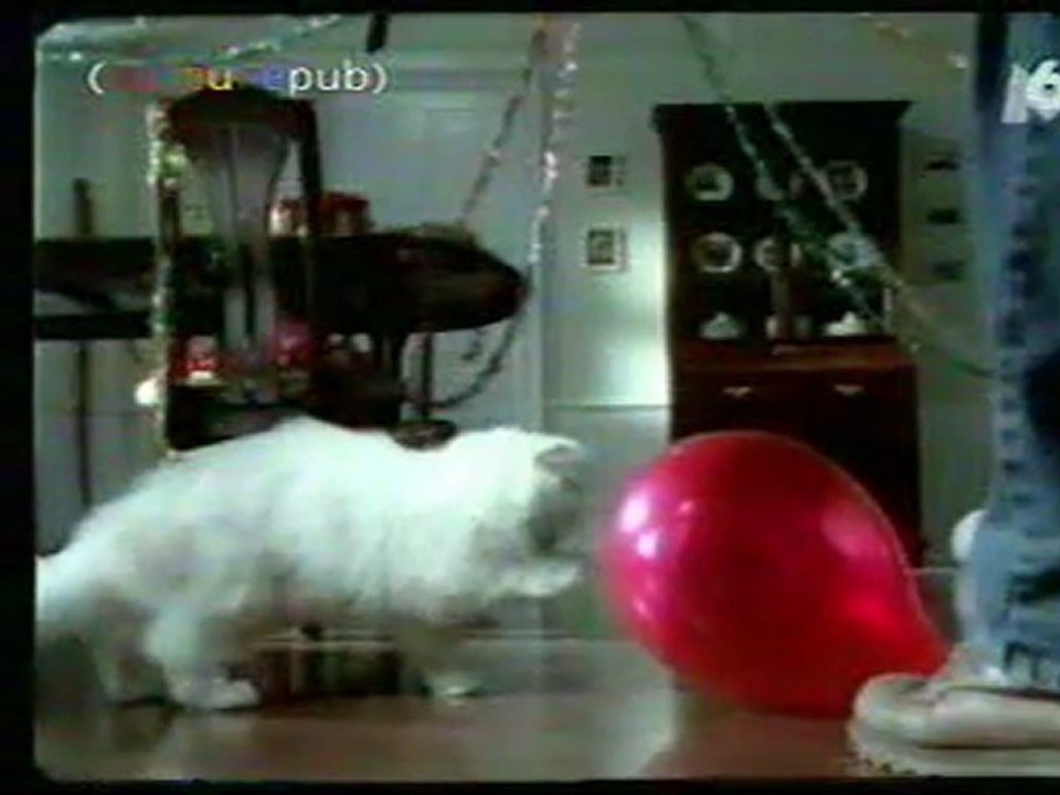 Flair de chat ...
