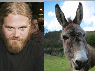 Roger Ebert Blames Ryan Dunn on Twitter