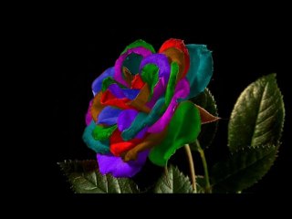 ❦Little Flower❦Chris Barber❦