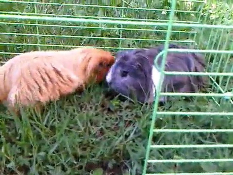 VID 00057-20110615-1655