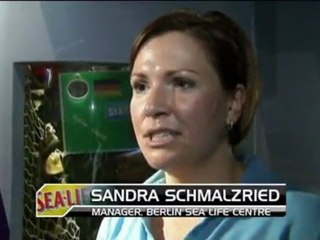 Calcio Femminile - Il polipo Ophira tifa Germania