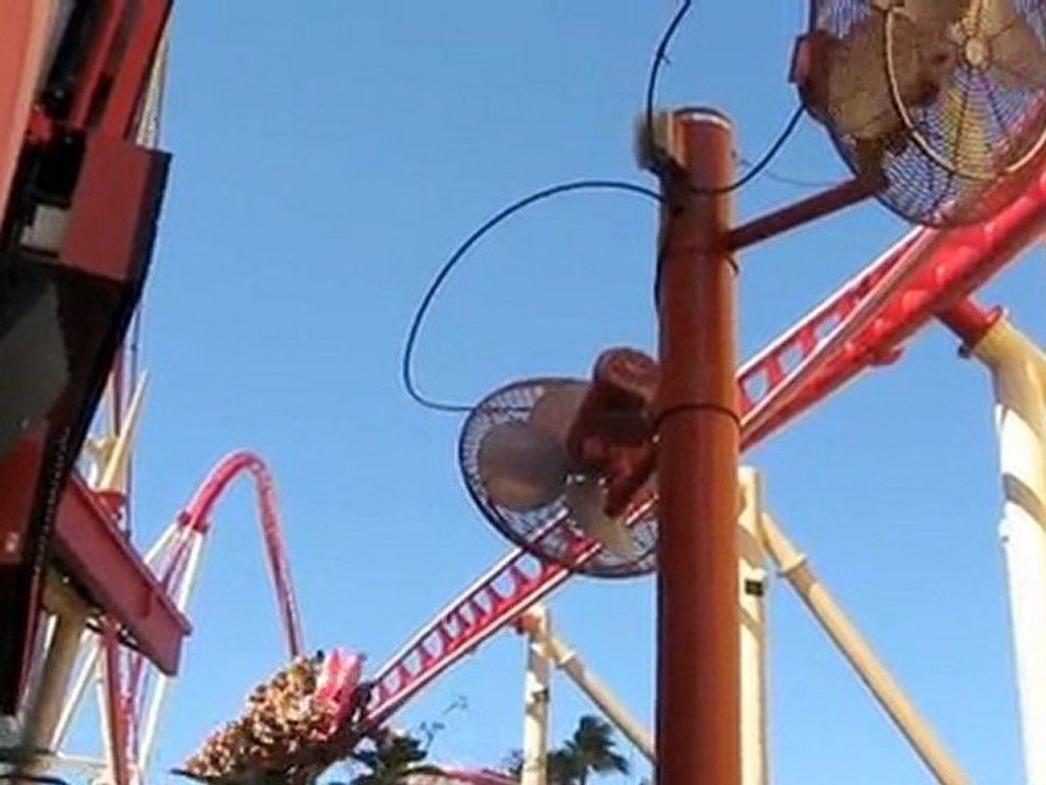 Cheetah Hunt at Busch Gardens Stop on Your Orlando Flex Ticket