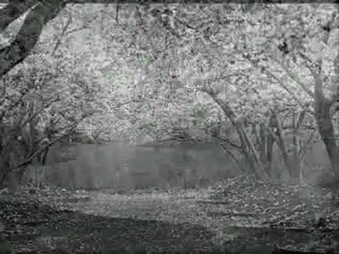 yıldız çam - uzayıp giden o tren yolları