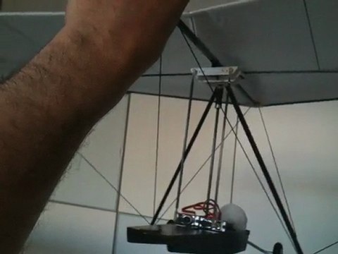 Deltaplane RC hang glider depron carbone spektrum