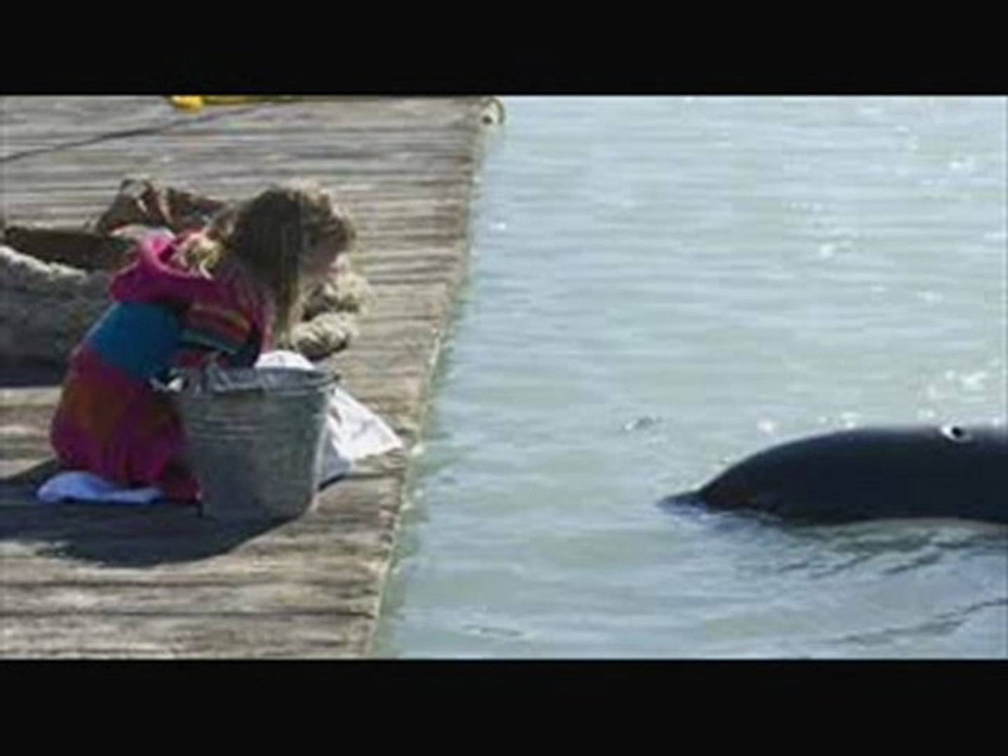 Free willy outlet full movie dailymotion