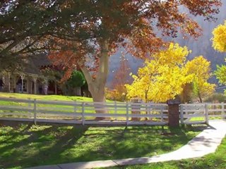 MARIAGE A LAS VEGAS nature