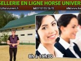 Boutique en ligne Horse Univers