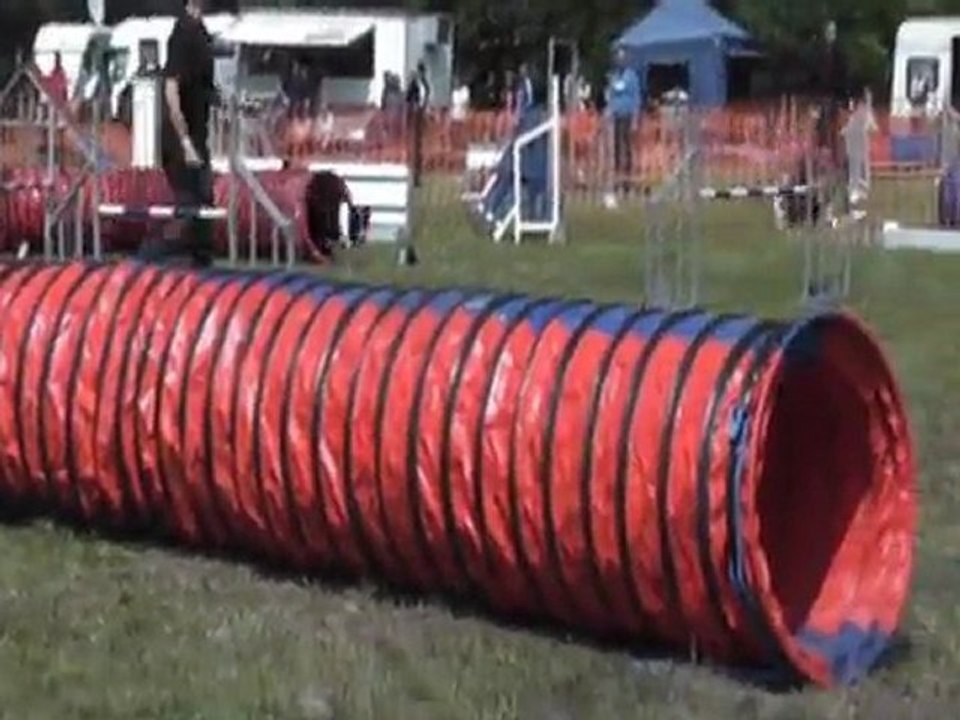 Herentals:l'estafette