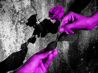 Hasan Selcuk BİRDAL-Kapattım Kapılarını Dünyanın