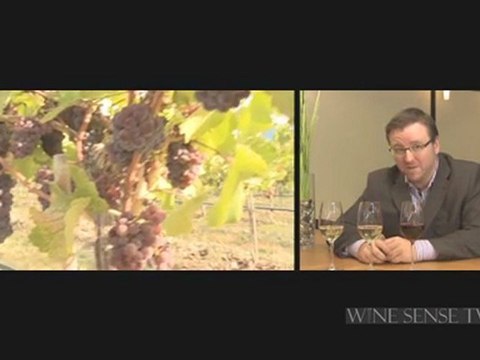 Pinot Noir, Pinot Blanc, Pinot Gris: Wine and Food Pairing