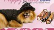 Puppy Kisses | Dog Coats | Jackets | Beds | Bowls | ...