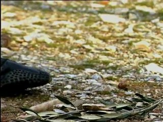 OLIMPOS&kisavo oi 2 filoi malwsan