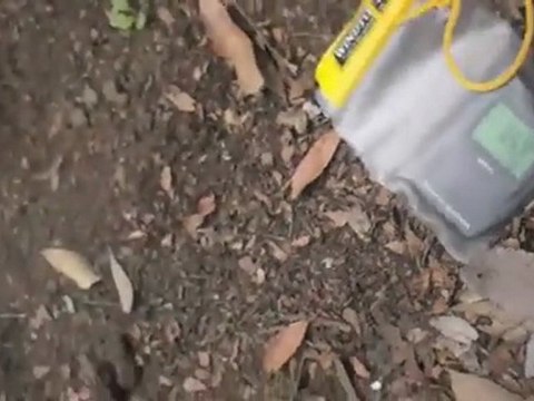 Fukushima 20 Juin Radiations à Kashiwa.