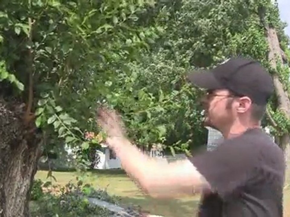 Product Review: Wicked Tough Hand Saw