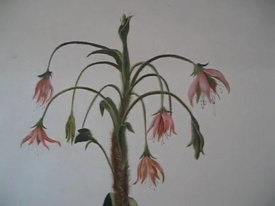 Duvar resim Ressamı istanbul