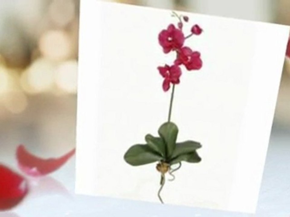 Artificial Silk Flowers