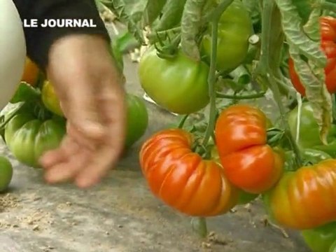 L'agriculture raisonnée par J-C Baron (Ste-Luce-sur-Loire)