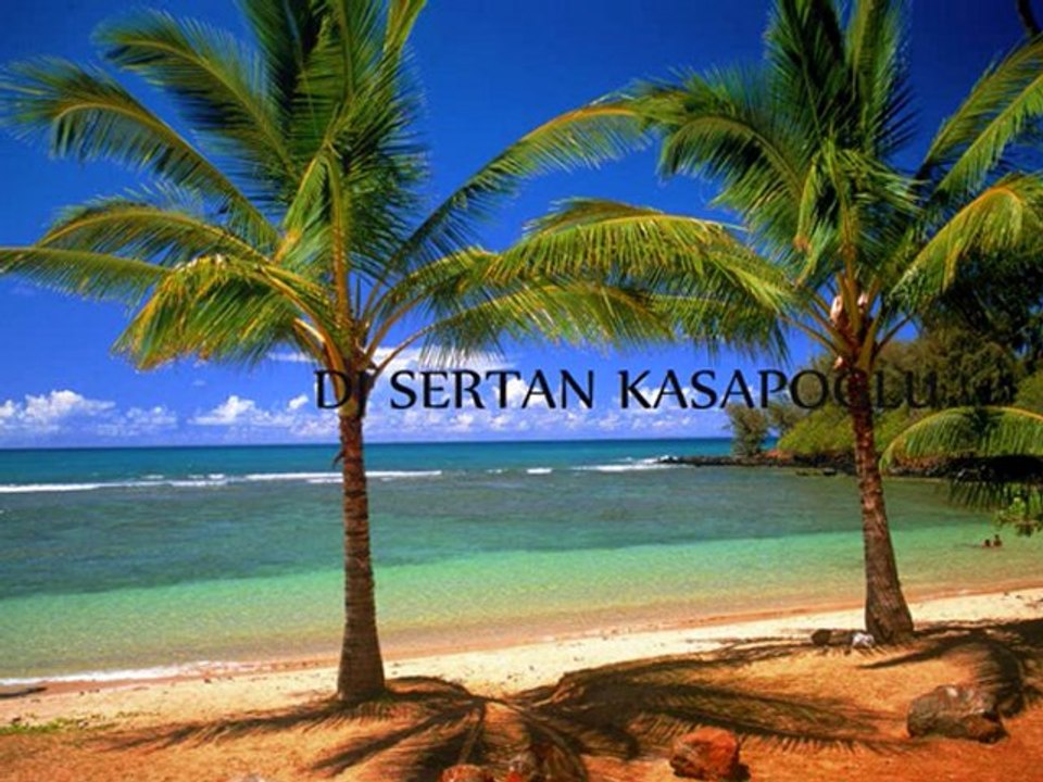 Tropical Rain mix