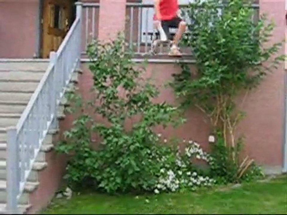 JUMP FOR JOY
