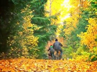 Whistler Movie "It's Winter!"