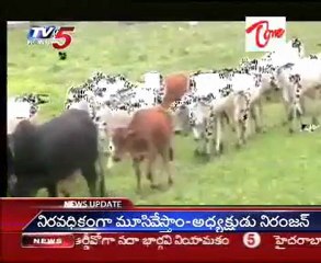 TV5 Revolution for Stop the Animals Slaughtering, All are participate to Prevent