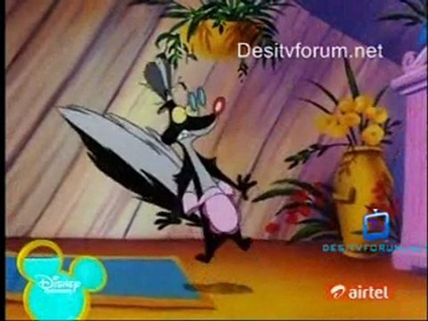 Timon and Pumbaa - 22th June 2011 watch video online p3