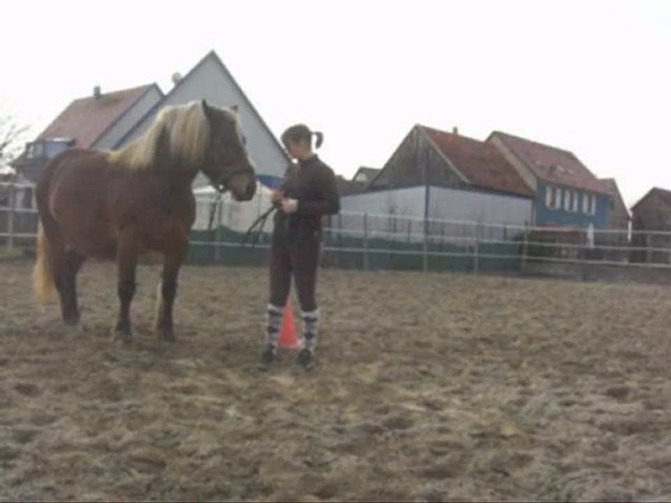 romy  travail fevrier