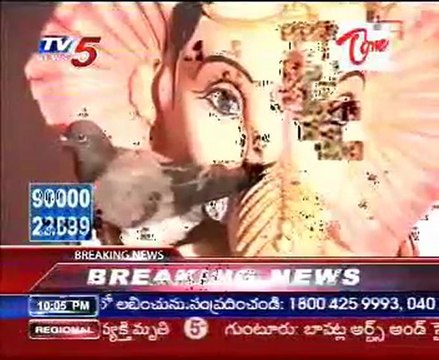 Wonder in Ganesh Pandal, A Pigeon Lands on ganesh Idol hands @ Visakhapatnam