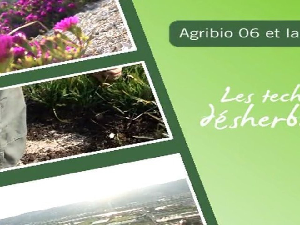 Espaces verts: les techniques de désherbage alternatif