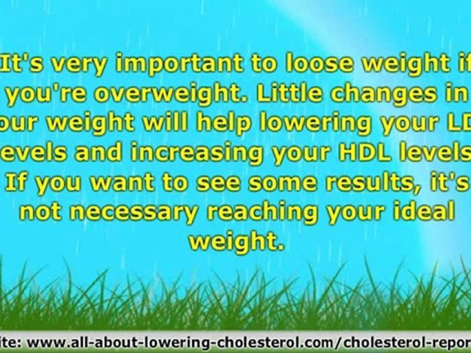 Effective Cholesterol Diet Lowering Plan