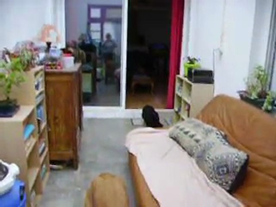 photos et vidéos du 22 juin 2011 007