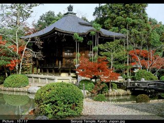 Japan~Υπερκινητικός Δάσκαλος 2