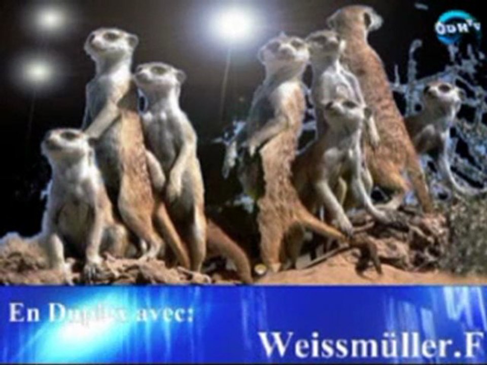 #4. Le 25 Juin 2011, C'est l'Opération Suricate!!!