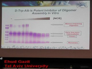 Ehud Gazit - Manipulating molecular self-assembly for drug development and other technological challenges