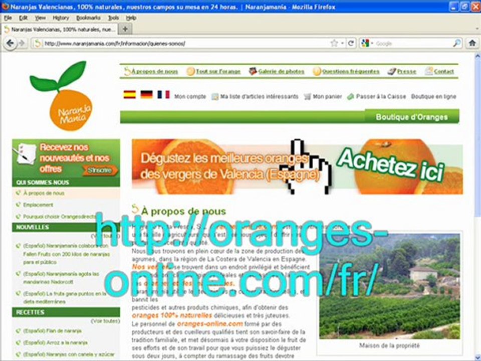 oranges