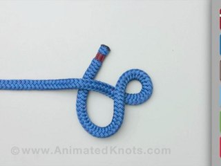 Figure 8 Knot | How to Tie a Figure 8 Knot