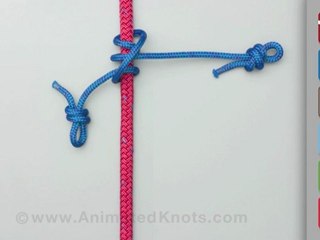 Distel Hitch | How to Tie the Distel Hitch