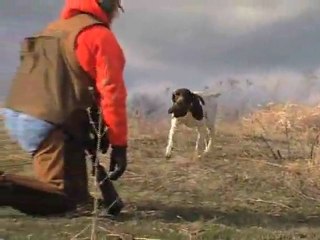 AV KÖPEĞİ EĞİTİM VİDEOSU10 Durustavci.com