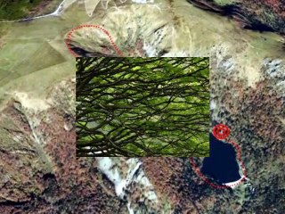 montage photos schiessrtried 2011