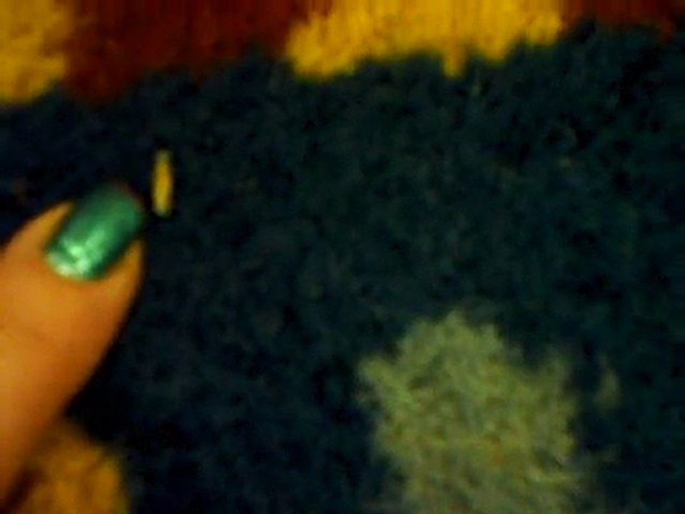 Moths eat Wool rugs!!! Think your rug is safe?