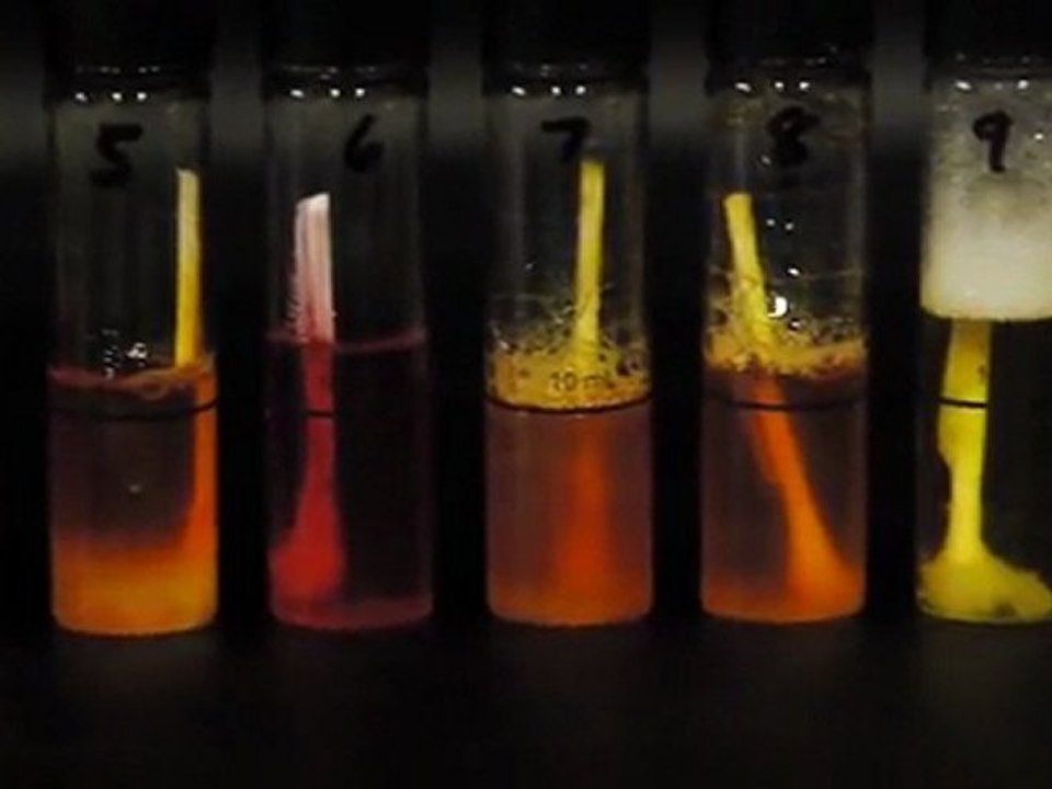 Beautifully Disgusting E. Coli - Scientific Tuesdays